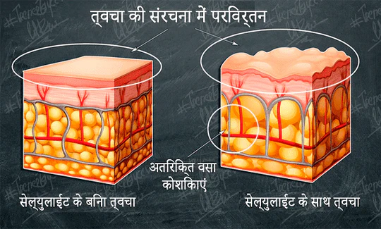 KETO 9X Scientific Working